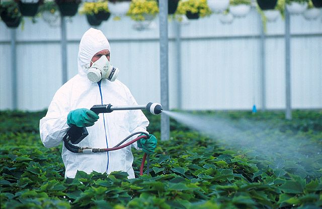 Nanopesticides: uusi ratkaisu tai uusi uhka? 