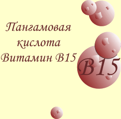 Yleistä tietoa B15-vitamiinista