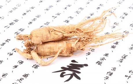 Ginseng raskauden aikana